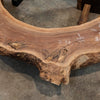 Oregon Black Walnut Block C051