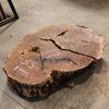 Oregon Black Walnut Burl Round C052