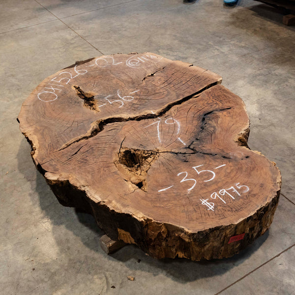 Oregon Black Walnut Burl Round C052