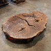 Oregon Black Walnut Burl Round C052