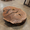 Oregon Black Walnut Burl Round C052