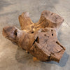 Oregon Black Walnut Block C053