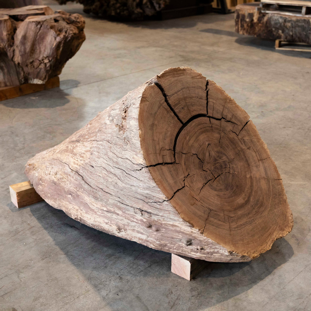 Oregon Black Walnut Block C054