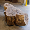 Oregon Black Walnut Block C055