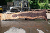 Oregon Black Walnut Slab 060123-02