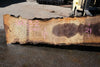 Oregon Black Walnut Slab 060123-02