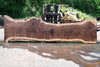 Oregon Black Walnut Slab 060123-03