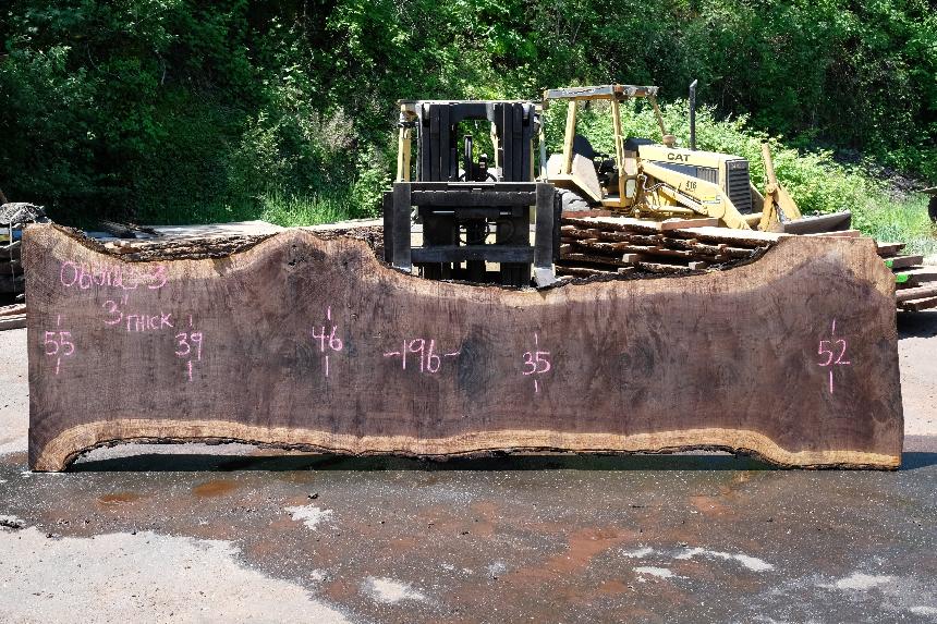 Oregon Black Walnut Slab 060123-03