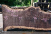 Oregon Black Walnut Slab 060123-03