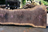 Oregon Black Walnut Slab 060123-03