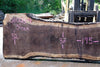 Oregon Black Walnut Slab 060123-04