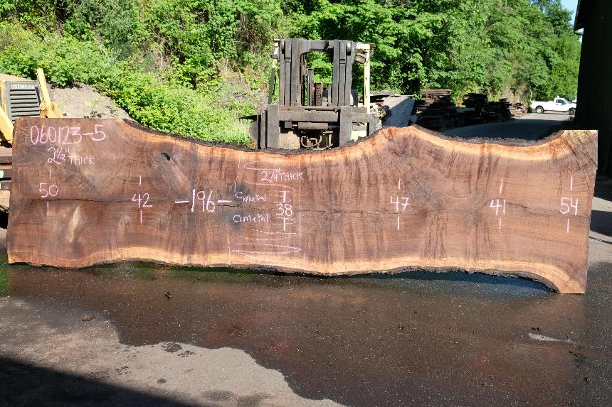 Oregon Black Walnut Slab 060123-05