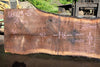 Oregon Black Walnut Slab 060123-05