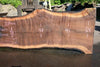 Oregon Black Walnut Slab 060123-05