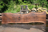 Oregon Black Walnut Slab 060123-06