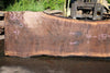 Oregon Black Walnut Slab 060123-06