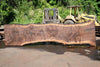 Oregon Black Walnut Slab 060123-06