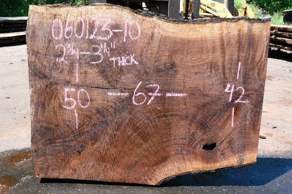 Oregon Black Walnut Slab 060123-10