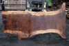 Oregon Black Walnut Slab 060923-01