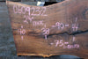 Oregon Black Walnut Slab 060923-02