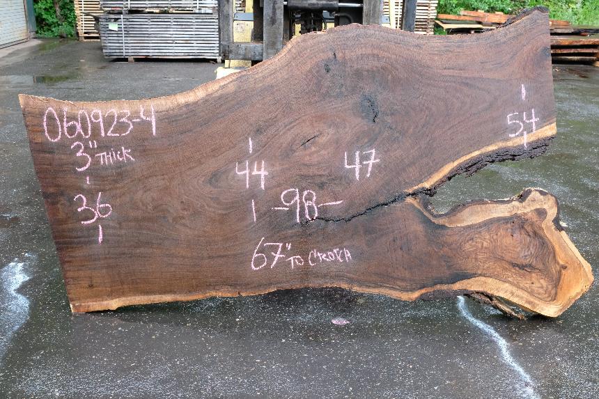 Oregon Black Walnut Slab 060923-04