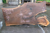 Oregon Black Walnut Slab 060923-04