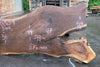 Oregon Black Walnut Slab 060923-04