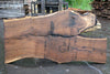 Oregon Black Walnut Slab 060923-05