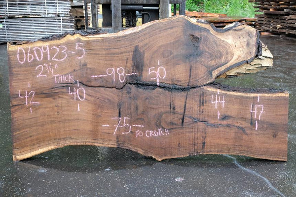 Oregon Black Walnut Slab 060923-05