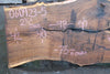 Oregon Black Walnut Slab 060923-05