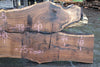 Oregon Black Walnut Slab 060923-05