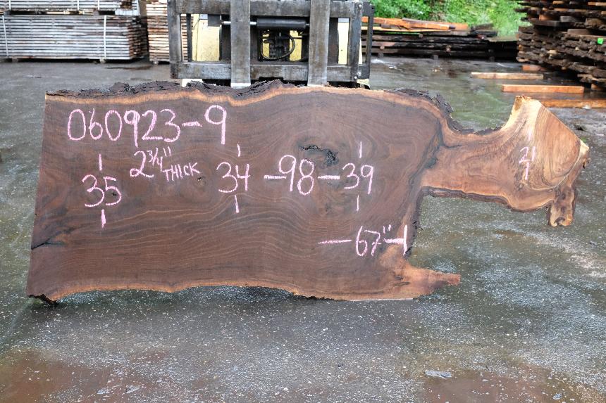 Oregon Black Walnut Slab 060923-09