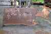 Oregon Black Walnut Slab 060923-09