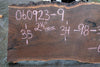 Oregon Black Walnut Slab 060923-09