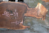 Oregon Black Walnut Slab 060923-09