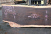 Oregon Black Walnut Slab 061023-01