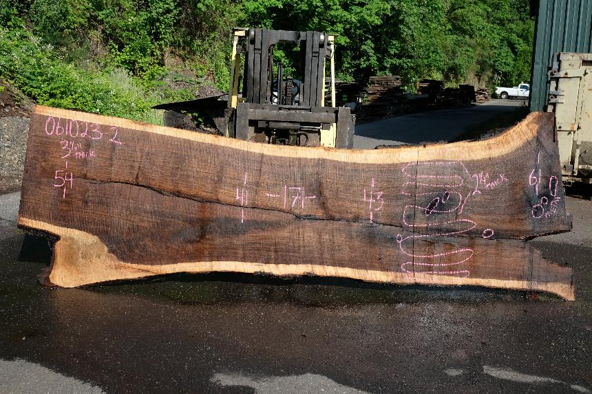 Oregon Black Walnut Slab 061023-02