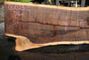 Oregon Black Walnut Slab 061023-03