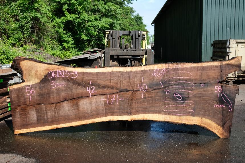 Oregon Black Walnut Slab 061023-03