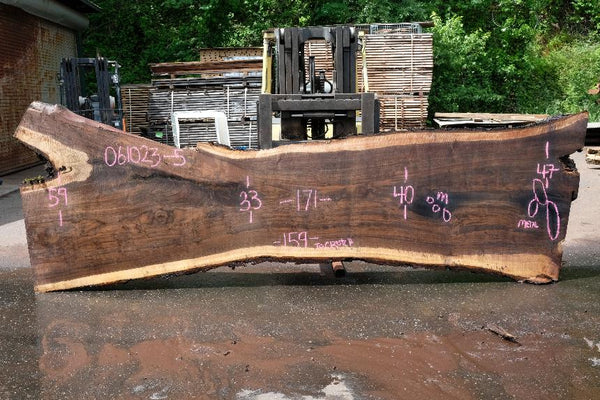 Oregon Black Walnut Slab 061023-05