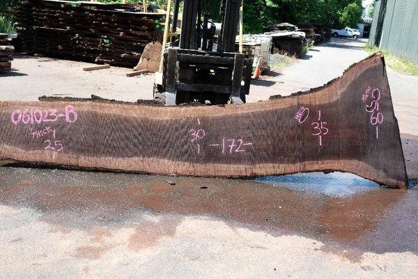 Oregon Black Walnut Slab 061023-08