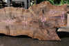 Bastogne Walnut Slab 061623-01