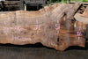 Bastogne Walnut Slab 061623-02