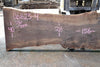 Bastogne Walnut Slab 061623-04