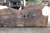 Bastogne Walnut Slab 061623-04