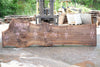 Bastogne Walnut Slab 061623-07