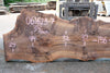 Bastogne Walnut Slab 061623-07