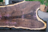 Oregon Black Walnut 061723-01