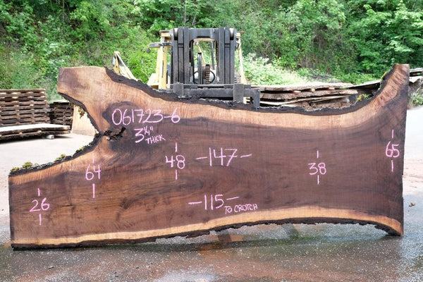 Oregon Black Walnut Slab 061723-06