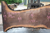 Oregon Black Walnut 061723-08